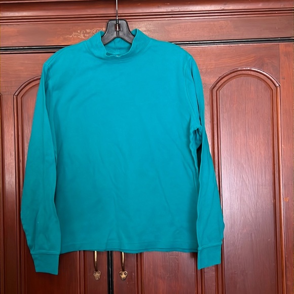 Lands’ End Cotton Teal Aqua Turtle Neck Long Sleeve Size Large - Picture 1 of 11